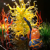 Dale Chihuly exhibit at Columbus Museum of Art
