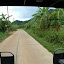 Driving through the jungle