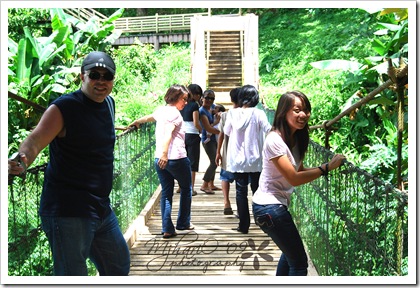 ph-bridge1