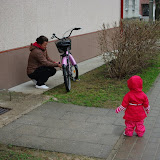 IMGP1226.JPG