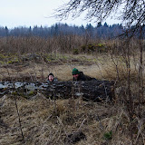 IMGP7445.JPG