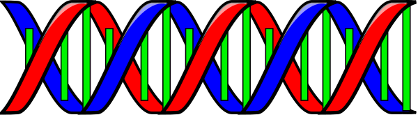 [double_helix_DNA_T[4].png]