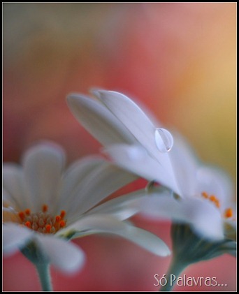 08122009005413000126026