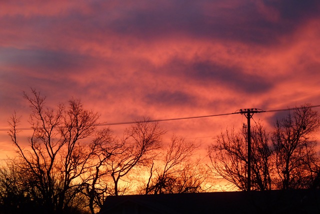 [P1020562[1].jpg]
