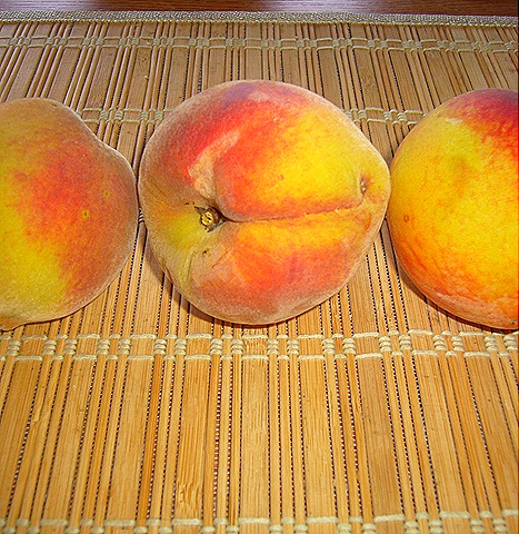[P1150826[12].jpg]