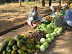 Market near Rama Chikama's (auntie's) house in Puttur