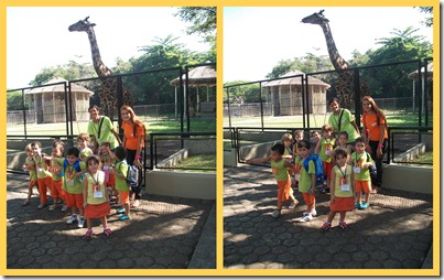 SAÍDA PEDAGÓGICA- ZOO12 SAÍDA PEDAGÓGICA- ZOO12