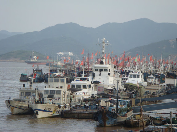 石浦渔港