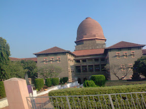 IMG311.jpg
