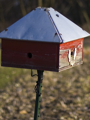 [birdhouse[6].jpg]
