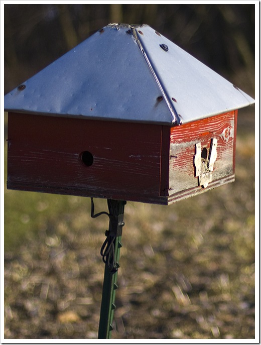 birdhouse