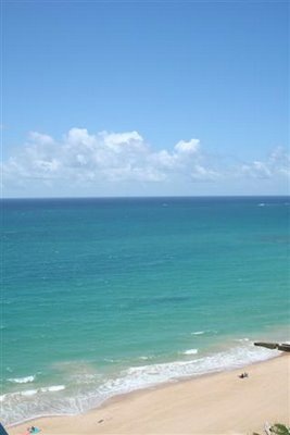[IMG_5036_(Small)[2].jpg]