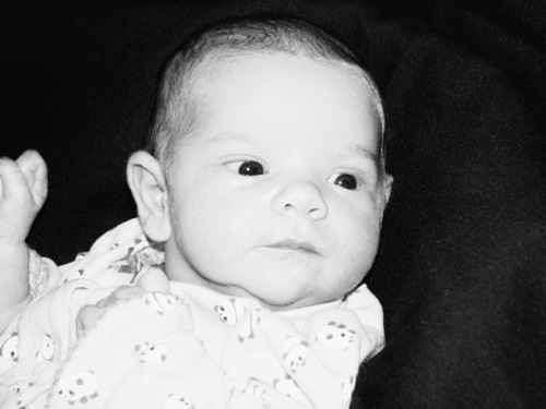 johanna