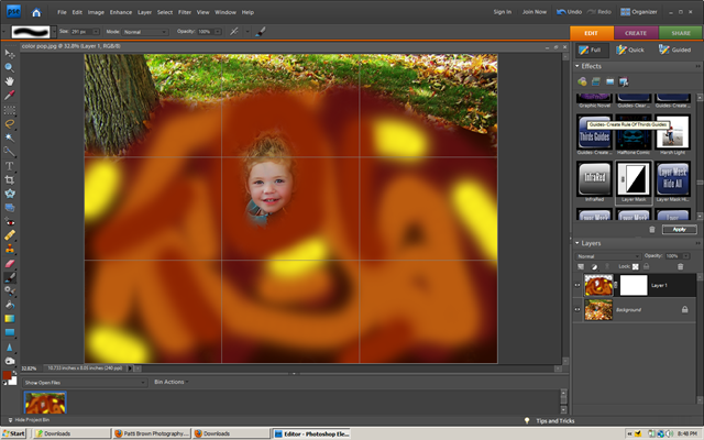 [COLOR LEAVES[2].png]