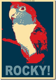 Rocky