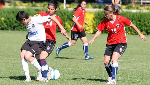 [480_2009120785435[3].jpg]