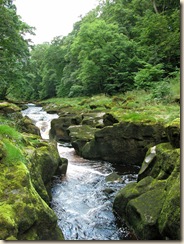 Strid