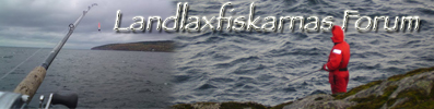 http://landlaxfiske.forumportal.se/board/index.html