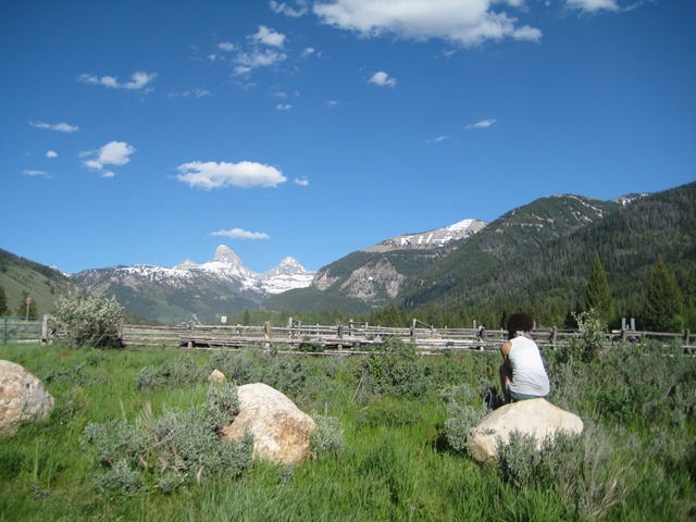 [Robinsnest0024.jpg]