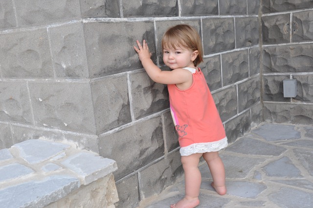 [DSC_0386[2].jpg]