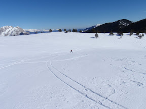 Prat Nabiral i Pedraforca al fons