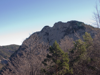 Roca Forcada