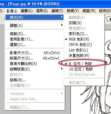 8位元