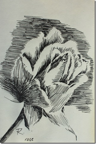 ink drawing of rose This sketch in the flower book was from one of my 