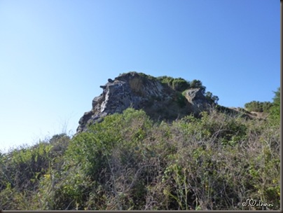 P1020814 P1020814