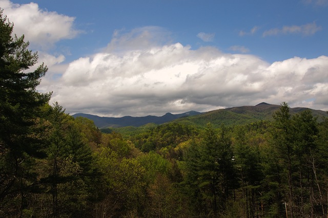 [DSC_0207[3].jpg]