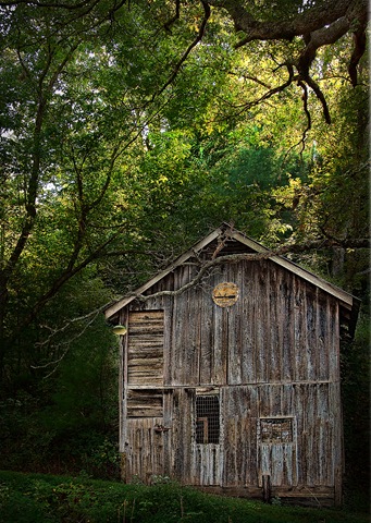 [DSC_5770-5[3].jpg]