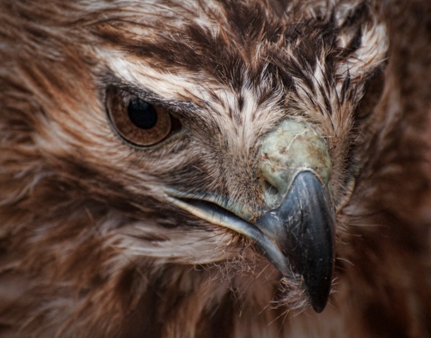 [DSC_0088[5].jpg]