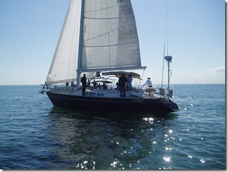 Shire Regatta 001