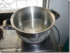P1010004