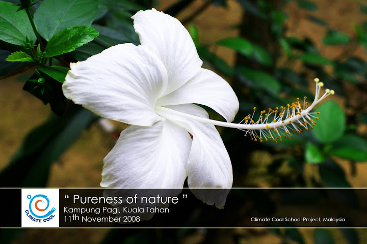 Pureness of nature