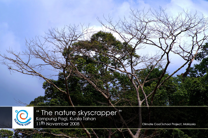 The nature skyscrapper