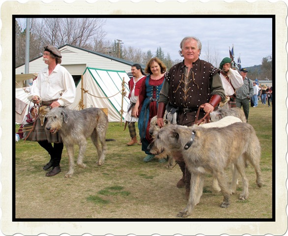 [wolfhounds[3].jpg]