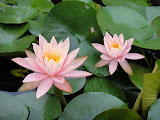 DSC00063.JPG