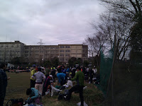 IMG_20110219_073733.jpg Photo