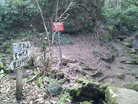 IMG_20110226_083437.jpg Photo IMG_20110226_083437.jpg Photo