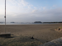 DSC00102.JPG Photo