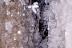 DSC02160.JPG