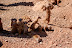DSC01205.JPG
