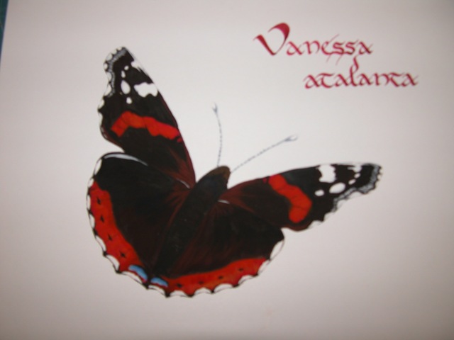 [vanessa2[3].jpg]