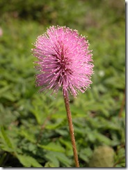 DSCN0158