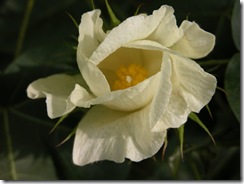 dscn0270