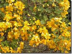 DSCN0128