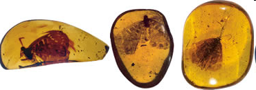 [image9.png]