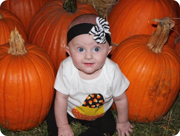 IMG_4463 IMG_4463