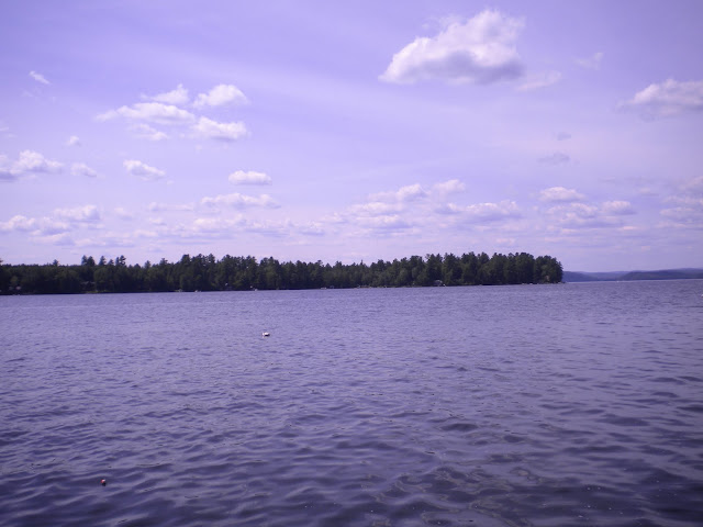 http://lh4.ggpht.com/_q72DFUT946I/TI7SWtvLWiI/AAAAAAAAOuQ/iEXRVL72CK0/s640/DSCN6176.JPG